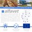 Alfavet ReConvales Energy, 180ml, Hochkalorisch in der Rekonvaleszenz für Katzen und kleine Hunde, bei hepatischer Lipidose der Katze, Diät Ergänzungsfuttermittel