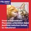 FELIWAY Friends Vorteilspack