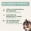 AniForte Grünlippmuschelpulver für Hunde & Katzen 250g - VERGLEICHSSIEGER 2023 Gelenkpulver in Vollfettqualität, unterstützt Gelenke & Agilität, Grünlippmuschel Pulver mit hoher Akzeptanz