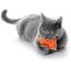 4cats Schmusekissen Valerian Kissen – 4 Stück Sparpack – Original Made in Germany
