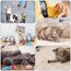 Adiwo Kkatzenspielzeug Maus, 9 Stück Katzenminzen Spielzeug Plüsch Maus mit Katzenminze Plüsch Katzenspielzeug Interaktives Katzenspielzeug Spielzeug für Katzen und Kätzchen Spielzeug Mäuse