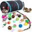 Speedy Panther 21 Stücke Katzenspielzeug Set Katzentunnel Interaktives Katzen Spielzeug für Kätzchen Federspielzeug Katzenbälle Spielzeugmäuse