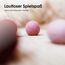 LucyBalu® Filzbälle für Katzen | Katzenspielzeug | Katzenbälle aus Filz | Spielsachen aus 100% Wolle | Natürliches Spielzeug für Kätzchen | Spielbälle Fair aus Nepal | 6 Stück | Magic Magenta