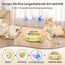 GoldenSun Interaktives Katzenspielzeug, 3 in 1 Elektrisch Automatischer Spielzeug für Katzen, Whack-A-Mole, Fluttering Butterfly, inklusive Ball, USB Wiederaufladbar Katzen Teaser mit 4 Aufsätzen