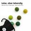 LucyBalu® Filzbälle für Katzen | Katzenspielzeug | Katzenbälle aus Filz | Spielsachen aus 100% Wolle | Natürliches Spielzeug für Kätzchen | Spielbälle Fair aus Nepal | 6 Stück | Grün