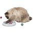 Trixie Cat Activity Flip Board, 1 Count (Pack of 1)
