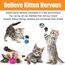 Speedy Panther 21 Stücke Katzenspielzeug Set Katzentunnel Interaktives Katzen Spielzeug für Kätzchen Federspielzeug Katzenbälle Spielzeugmäuse