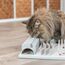 TRIXIE Katzenspielzeug Cat Activity Fun Board, Intelligenzspielzeug für Katzen, Strategie-Spiel zur geistigen Förderung & spielerischem Lernen, 30 × 40 cm - 4590