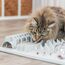 TRIXIE Katzenspielzeug Cat Activity Fun Board, Intelligenzspielzeug für Katzen, Strategie-Spiel zur geistigen Förderung & spielerischem Lernen, 30 × 40 cm - 4590