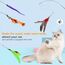 Hianjoo Katzenspielzeug Katze Toys 12 Stück, Interaktives Katzenspielzeug Feder mit 2 STK Versenkbare Katzenangel Ersatz und 10 STK Feder Spielzeug mit Glocken (Packung mit 2)