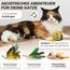 buddypaws® Katzenangel stabil mit 4 Anhängern & Katzenminze – Ausziehbar 42-104 cm – Flexibles Glasfasermaterial – Katzenspielzeug Set mit Ersatzschnur – Spielangel für Katzen - Cat Toys
