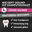 QCHEFS Schleckmatte Kitty mit ZahnputzKOHLE für Katzen zum Schlecken von der Futtermatte. Zahnpflege & Probiotik für Darm als Futter Topping mit der Lieblingsleckerei auf der Leckmatte bei Mundgeruch