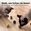 LucyBalu® Filzbälle für Katzen | Katzenspielzeug | Katzenbälle aus Filz | Spielsachen aus 100% Wolle | Natürliches Spielzeug für Kätzchen | Spielbälle Fair aus Nepal | 6 Stück | Grün