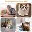 Xinstroe 9 Stück Katzenminzen Spielzeug, Plüsch Maus Kitten Spielzeug Katzenspielzeug mit Katzenminze Mäuse Catnip Toy katzenspielzeug fur Katze und Kitten, Grau,Kaffee,Grau,Braun,Hellgrau,Rosa,Beige