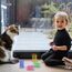 Grantop 100 Stück Katze Spielzeug, Buntes kreatives Kunststoff Spiralfedern Spirale,Spielzeug Neuheit Haustiere Bunte Spiralfedern Spring Spirale für Katze (100 Stück)