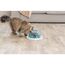 TRIXIE interaktives Intelligenzspielzeug für Katzen "Cat Activity Strategie-Spiel Tunnel Feeder, ø 28 × 14 cm, Mehrfarbig - 46002