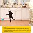 Interaktives Katzenspielzeug Spielzeug mit Federn, Teaser mit 2 Skalierbar Stangen 10 Katzenangel Ersatzfedern mit Anhänger Feder Glocke Befestigungen, Katzenspielzeug Set für Kätzchen und Katzen