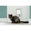Cat Mate Mikrochip-Aktivierte Katzenklappe (360) - Für Katzen und Kleine Hunde, Geeignet für Bis zu 30 Haustiere, Kompatibel mit Einfach-/Doppelverglasung, UPVC, Wände und Holz, Weiß
