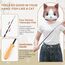 ROSAUI 2X Katzenangel lang, interaktives katzenspielzeug mit 2 Vogel und 3 Federn, Katzen Spielzeug für Kitten, cat Toys stabil 137cm