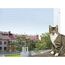 Trixie 44323 Schutznetz, 4 × 3 m, transparent