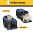 Conlun Katzenboxe Flugzeugtauglich, Weichseitige Hundetransportbox mit Innenleine, Transport für kleine bis mittelgroße Katzen und Welpen bis 7 kg, Zusammenklappbare Reisetasche -Blau,M