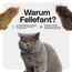 Fellefant Katzenspielzeug Mäuse aus echtem Hasenfell – 2´er-Set – Perfekt für das Ausleben des Jagdinstinkts und Spielspaß - ohne Kunststoffaugen