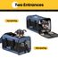 Conlun Hundetransportbox Weichseitig, Große Tasche für Katzen mit Innenleine, Transport für große Katzen und mittelgroße Hunde bis 9 kg, Zusammenklappbare Reisetasche für Welpen -Blau,L