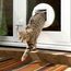 Sure Petcare SureFlap Mikrochip-Katzenklappe Connect, kompatibel mit Smartphone-App, Einbau in Türen, Glasscheiben, Wände, Hub und 4 x AA-Batterien erforderlich (nicht im Lieferumfang enthalten), weiß