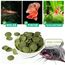 EWL Naturprodukte Wels Futtertabletten 1 kg (ca. 2 L), XL Pack, Welsfutter, Wels Chips mit Spirulina, Fischfutter Aquarium, Welstabletten, geprüfte Qualität von deutschem Anbieter