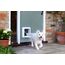 SureFlap Sure Petcare Mikrochip-Haustierklappe mit Sperrmodus, kompatibel mit RFID-Halsbändern und Mikrochips, EIN-Knopf-Steuerung, für Katzen und kleine Hunde, 4 x C-Batterien erforderlich, weiß