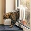 Sure Petcare SureFlap Mikrochip-Katzenklappe, batteriebetrieben, kompatibel mit RFID-Halsbandanhängern und Mikrochips, Einbau in Türen, Glasscheiben und Wände, 4 x AA-Batterien erforderlich, braun