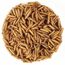 EWL Naturprodukte Soldatenfliegenlarven getrocknet 3 L (460 g), Premium Insektensnack Vögel, Fische, Schildkröten, Nager, Reptilien, Vogelfutter, Wildvögel, Ganzjährig Eichhörnchenfutter, Igelfutter