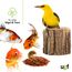 UGF - Premium Gammarus Bachflohkrebse Getrocknet - 318g im 3 Liter Eimer, Schildkrötenfutter, Fischfutter Aquarium, Axolotl Futter, Hamsterfutter, Igelfutter, Koi Futter, Rattenfutter