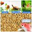 EWL Naturprodukte Wasserflöhe getrocknet 625 ml (100 g), Fischfutter Aquarium, Daphnia Zierfischfutter Aquarium, geprüfte Qualität von deutschem Anbieter