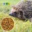 EWL Naturprodukte Mehlwürmer getrocknet 1 L (160 g), Insektensnack für Vögel, Fische, Schildkröten, Igel, Nager und Reptilien, Vogelfutter, Wildvögel, Ganzjährig, Eichhörnchenfutter, Igelfutter