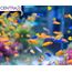 Centra24 Premium Fischfutter 1L, Futter-Flakes, Flocken - Hauptfuttermittel für alle Zierfische mit Vitaminen ohne Konservierungsstoffe, Aquarium, Süßwasserfisch