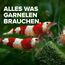 NatureHolic - Garnelenfutter Mainfeed I Futter für Garnelen im Aquarium I Made in Germany I Frei von Fischmehl I Für besseres Wachstum und Panzer Aufbau I 30 g