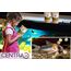Centra24 Wels-Chips 1 Liter, Formstabile Wafer mit hohem Spirulina Anteil+Vitaminen, Futtertabletten, Welsfutter, Fischfutter, für L-Welse, Zierfische, wiederverschließbar.