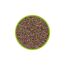 HOBBY Aquaristik Artemia Eier I 20 ml I Lebendfutter für Aquarienfische I Artemien-Eier zur Zucht von Artemia-Nauplien I Frische Artemia für nährstoffreiche und gesunde Ernährung I Artemiazysten