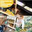 DIYDEC 200 Stück Mini Enten Harz, Gelb Mini Duck Figuren Miniatur Enten kleine Enten für Dekoration von Miniatur-Landschaftsgärten, Bonsai, Fischbecken und Aquarien verwendet.