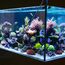Aquarium Reinigungswerkzeuge, Algenschaber Aquariumschaber, Aquarium Algen Rasiermesser Schaber, 62cm Aquarien Reinigung Werkzeug mit Abnehmbarer Stange,10 Stück Edelstahl Klingen,für Glas Fischbecken