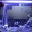 boxtech Aquarium Nano Bubble Stone Kit mit Steuerventil - Leise Super-High Diffusor für gelösten Sauerstoff - Lässt Super Tiny Bubbles für Aquarium und Hydroponic (35mm)