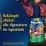 Tetra AlguMin - bekämpft schnell alle Arten von Algen im Aqarium und verhindert effektiv die Neubildung, 500 ml Flasche