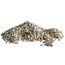 AMTRA Polychrome - Naturkies für Aquarien, Dekoboden, Sand und Weißkies, Körnung 3-4 mm, 5 KG