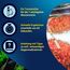 Tetra Test 7in1 - Wassertest für das Aquarium, schnelle und einfache Überprüfung der Wasserqualität, 1 Dose (50 Teststreifen)
