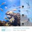 RUNBO 6 in 1 Aquarium-Teststreifen, 150 Stück, Aquarium-Test-Set für Süßwasser, Fischteich, genaue Prüfung der Gesamthärte, Karbonat-Nitrat, Nitrit, Cl2, pH