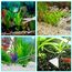UDQYQ 4 Stück Aquarium Aquascaping Tools,Premium Edelstahl Wasserpflanzen Werkzeuge Anti-Rost Pinzette Schere Schaber Werkzeug Set für Fisch Tank Reinigung Pflanze Trimmen. (Silber)