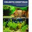 HOBBY Aquaristik Alder Cones I 50 Stück I Schwarzerlenzapfen für Aquarien I Erlenzapfen zur Senkung und Stabilisierung des pH-Wertes I Schutz vor Bakterien und Pilzen I ideal für Süßwasseraquarien