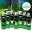 Algenentferner Aquarium 118 ml – schnelle Hilfe gegen Faden-, Punkt- & Grünalgen – kupferfrei & pflanzensicher – für kleine Becken, Nachdosierung & klare Sicht – ARKA Algaway