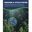 HOBBY Aquaristik Artemia Aufzuchtschale I Mit Sieb, Trennschale und Dosierlöffel I Einfache und flexible Nutzung I Kein Belüfter nötig I Ideal für Anfänger und Profis